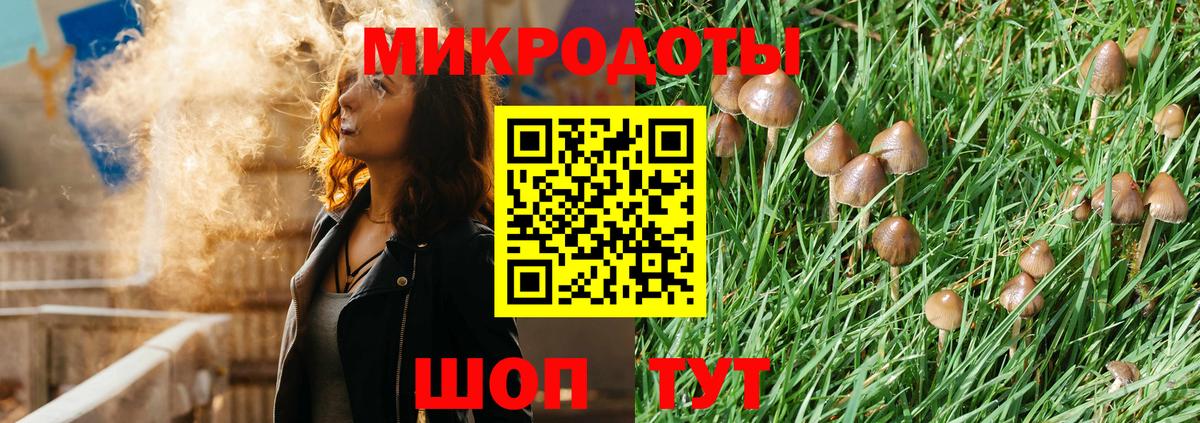Псилоцибиновые грибы мицелий Сызрань