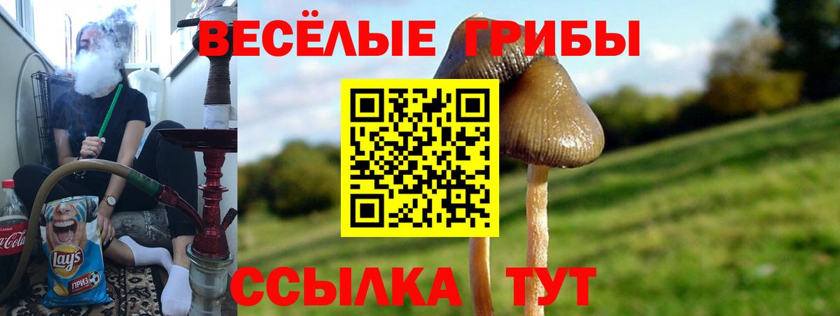 Галлюциногенные грибы ЛСД  Вход с VPN  Сызрань  Галлюциногенные грибы Psilocybe 